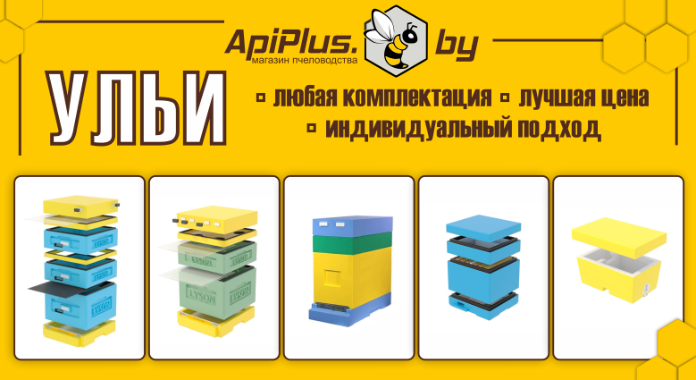 Баннер ульи